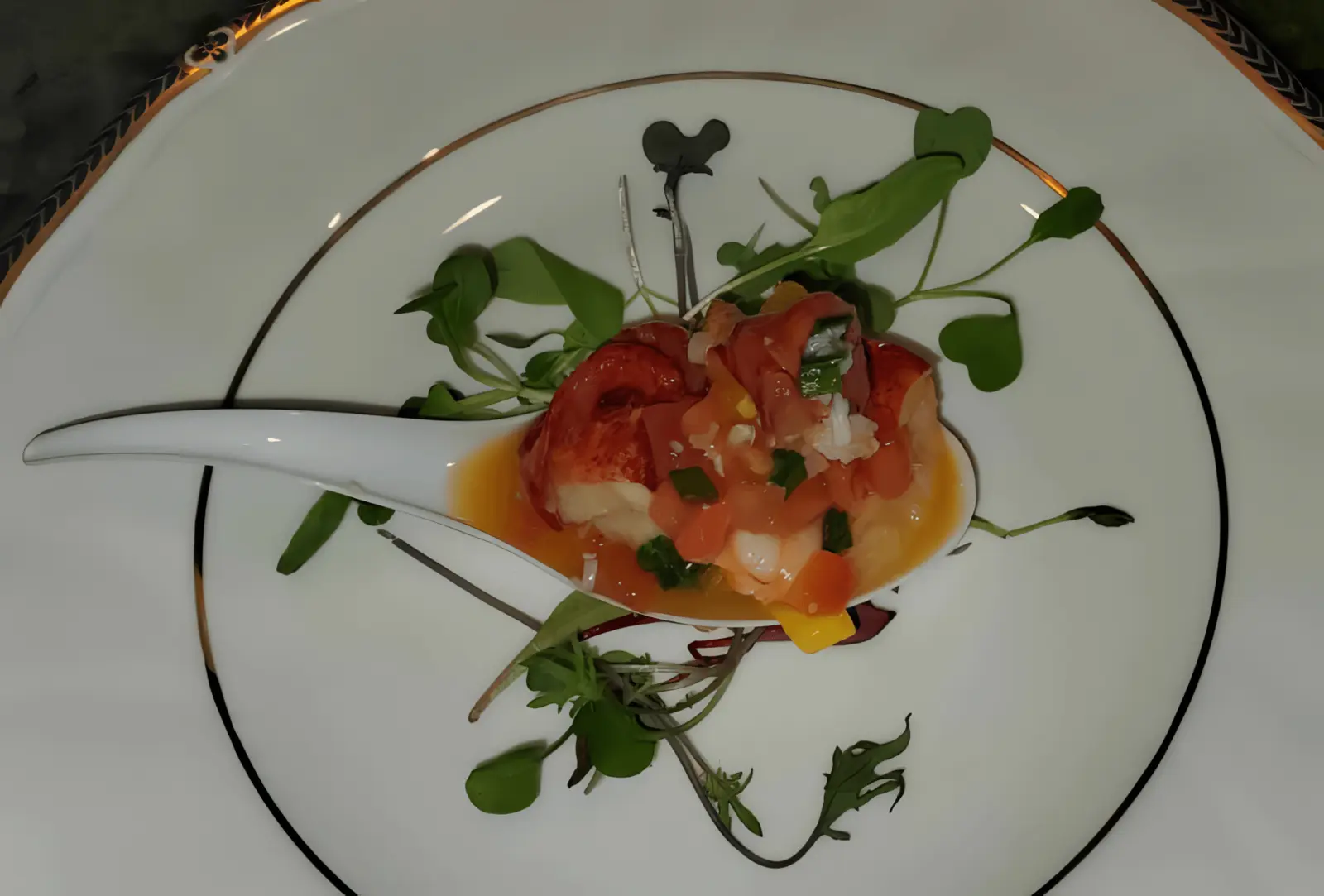 Lobster ceviche in an orange sauce with microgreens and a decorative dark drizzle.