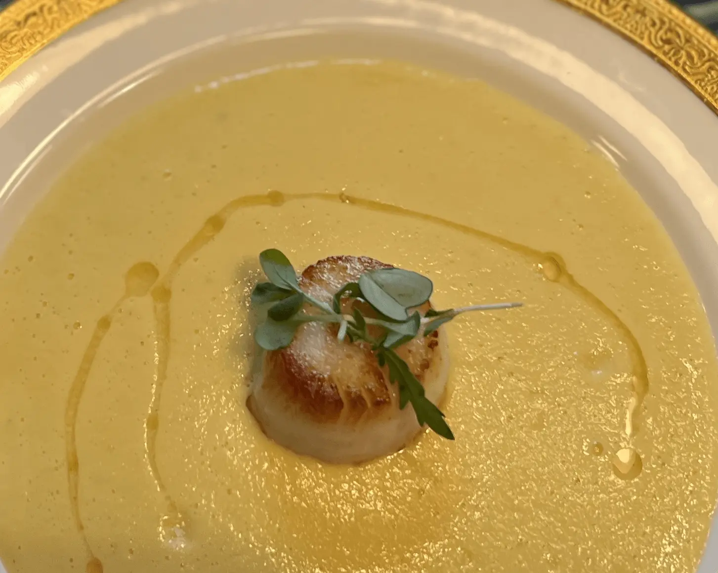 A seared sea scallop centered in a smooth yellow sauce with microgreens.